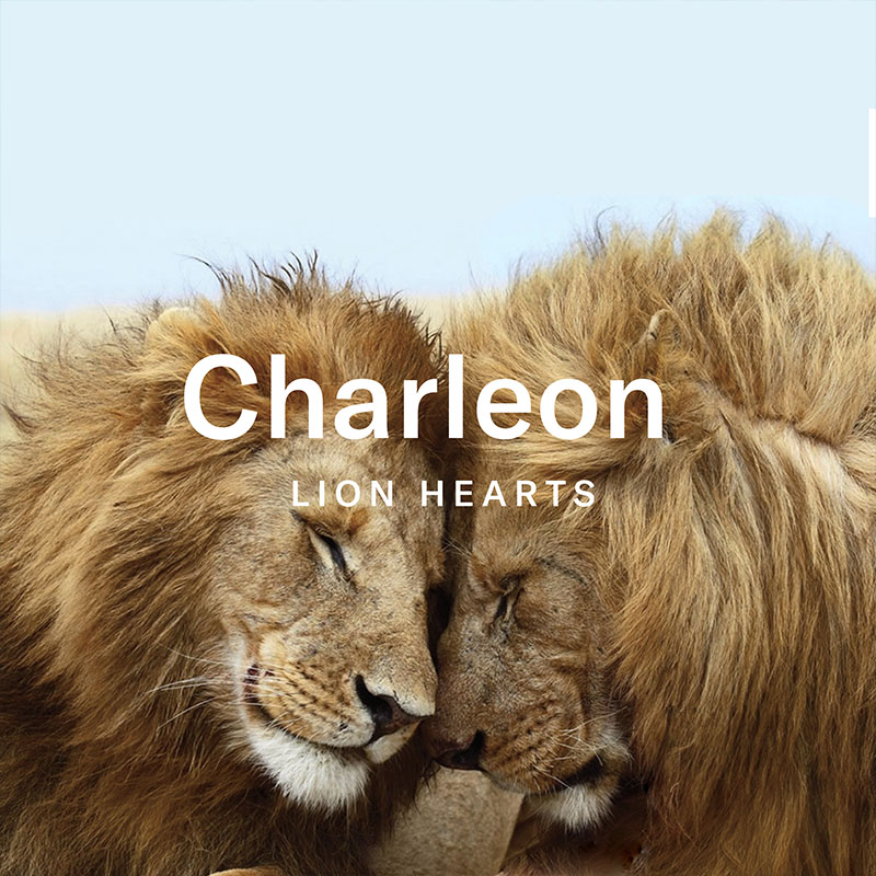 Charleon Lion Hearts